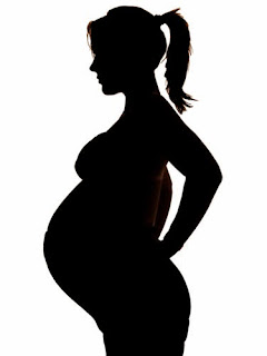 Four Levels of Metaphors by Sylvia Plath Pregnant Woman